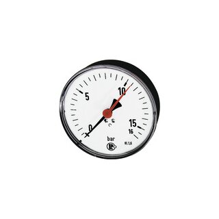 Standardmanometer, Stahlblech, G 1/4 hinten zentr., 0-6,0 bar, Ø 100