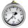 Glyzerinmanometer, CrNi-Stahl, G 1/4 hinten zentrisch, 0-25,0 bar, Ø63
